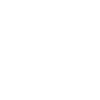 包。点心